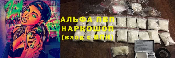 гашик Семилуки