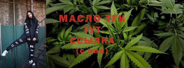 гашик Семилуки