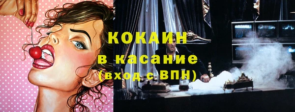 гашик Семилуки