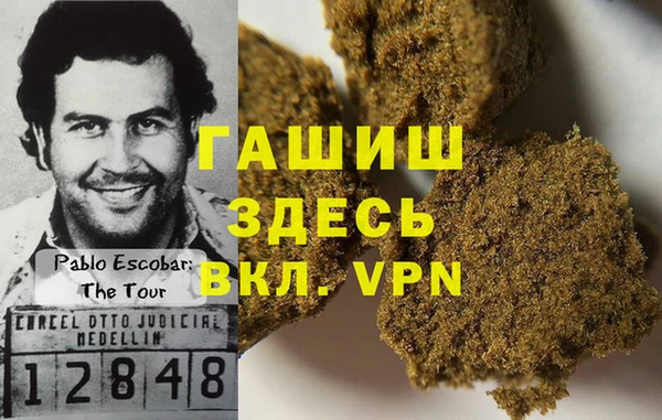 гашик Семилуки