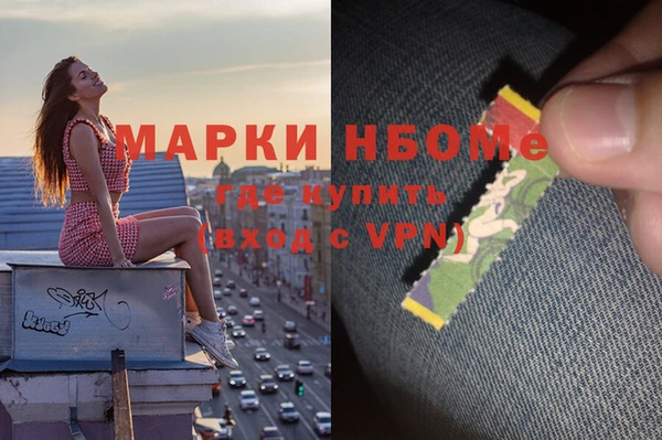 гашик Семилуки